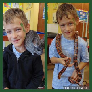 Animal capers.2